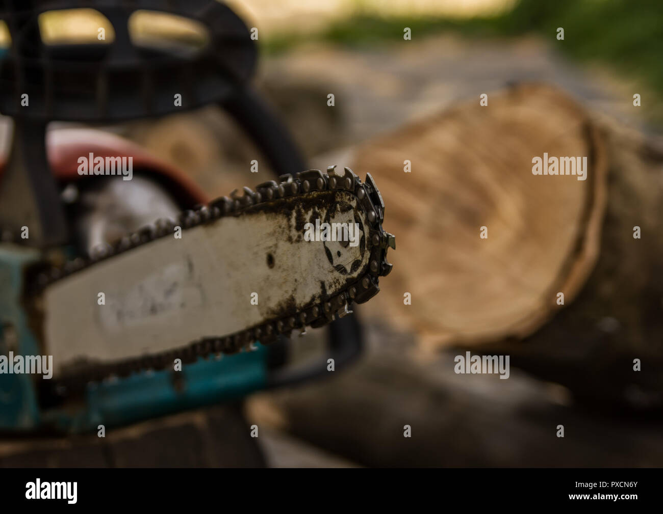 Kettensäge auf dem Hintergrund von Schnittholz rundholz Brennholz für den Winter Stockfoto