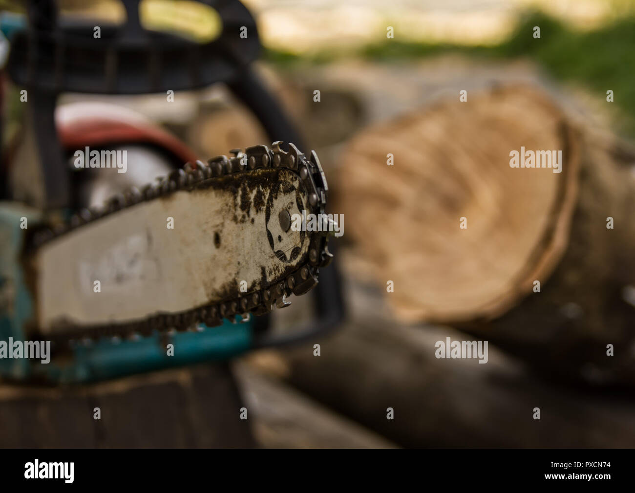 Kettensäge auf dem Hintergrund von Schnittholz rundholz Brennholz für den Winter Stockfoto