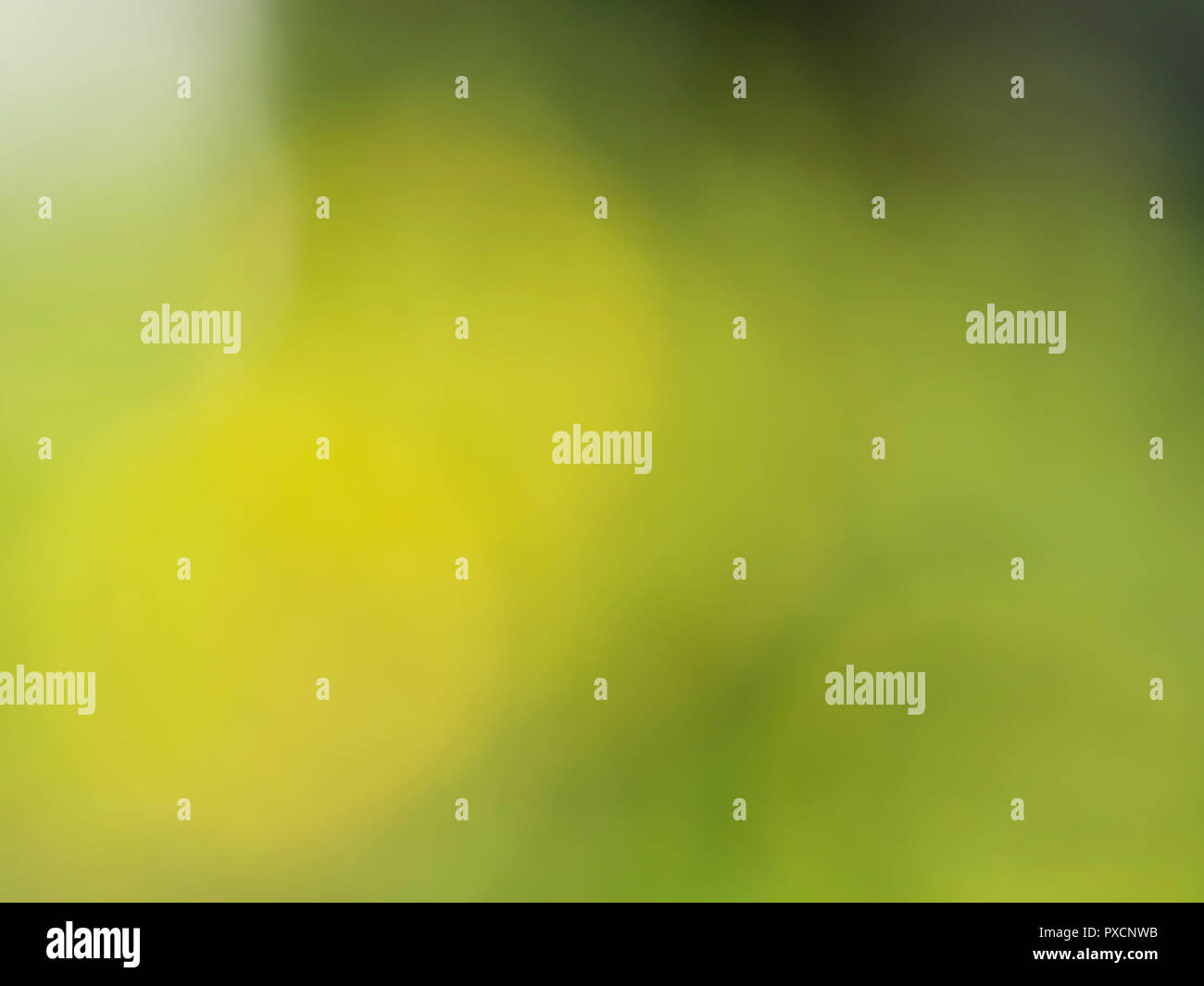 abstrakte-gr-ne-natur-verschwommenen-hintergrund-mit-hellen-sonnenlicht