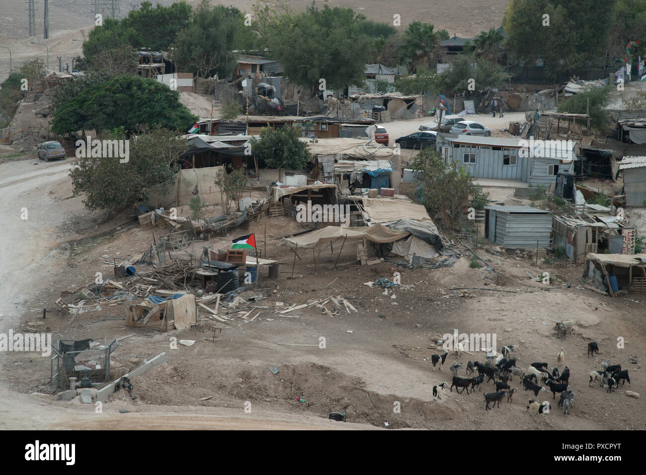 Ziegen grasen die unfruchtbare Erde in der Beduinen Dorf Khan al-Ahmar, West Bank. OPT. Stockfoto