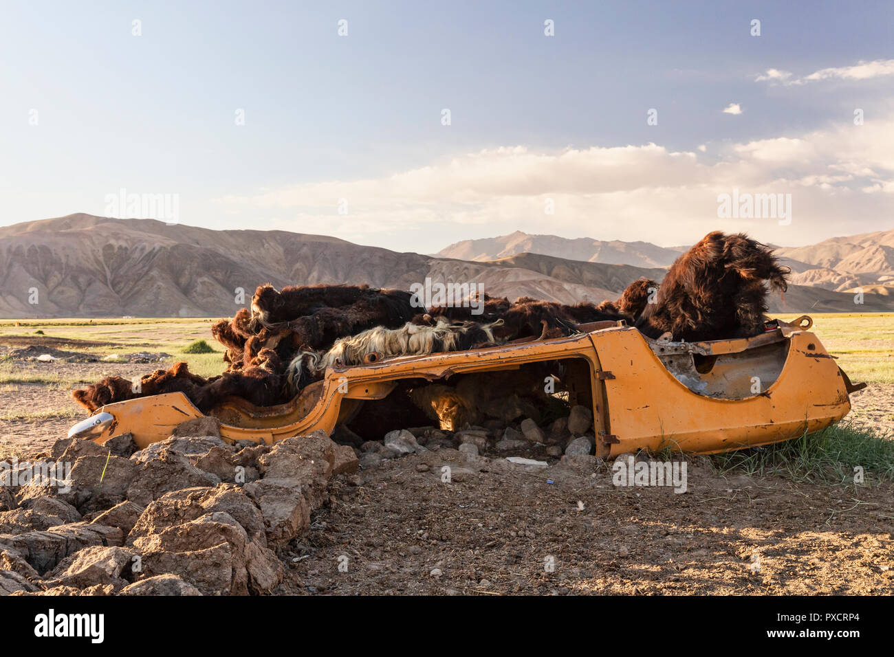Schafwolle auf ein Auto drehte sich in Bulunkul Dorf, Bulunkul, Pamir Highway, Gorno Badakhshan, Tadschikistan Stockfoto