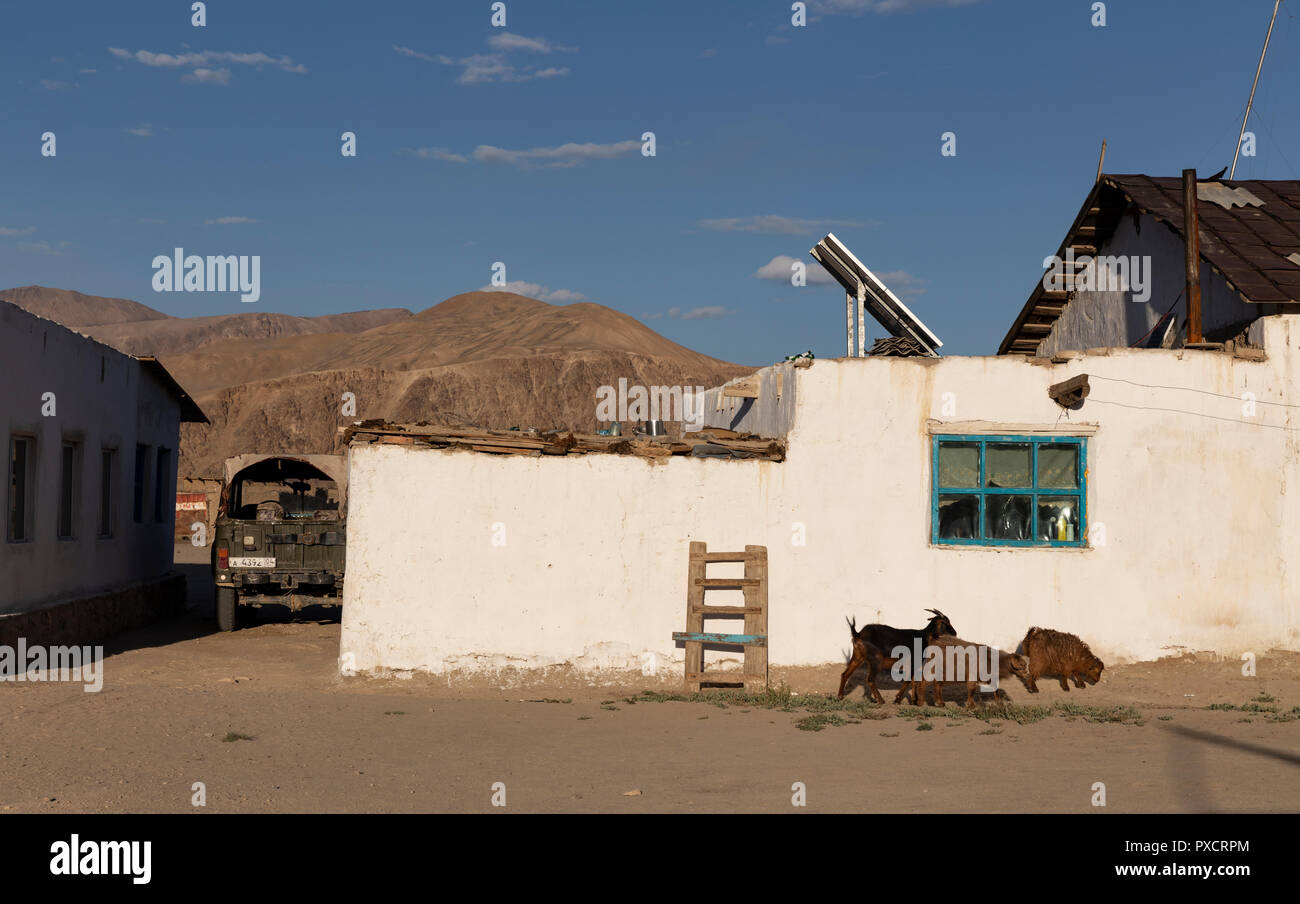 Ziegen gehen von einem weiß getünchten Haus im Dorf, Bulunkul Bulunkul, Pamir Highway, Gorno Badakhshan, Tadschikistan Stockfoto