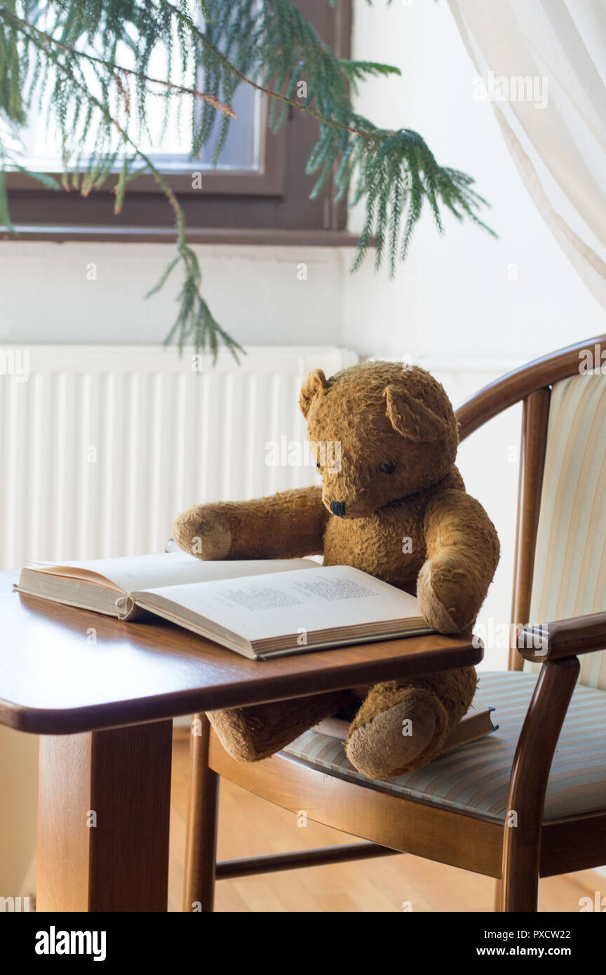 Teddy Bär liest ein Buch in der Bibliothek - Studium Szene Stockfoto