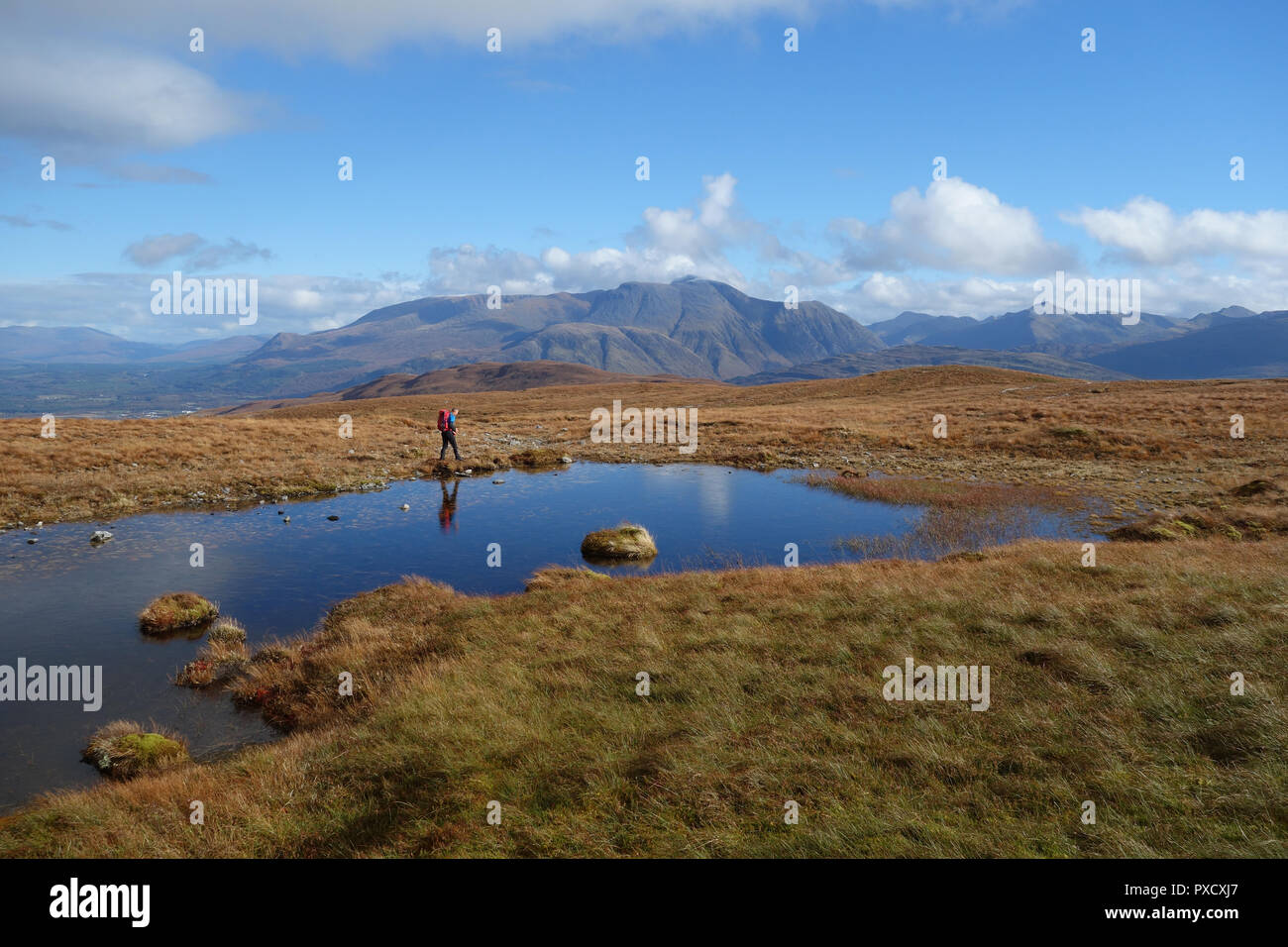 Man Walking auf Braigh Bhlaich in die schottischen Berge Corbett Stob Coire ein 'Chearcaill mit Ben Nevis im Hintergrund in den schottischen Highlands. Stockfoto