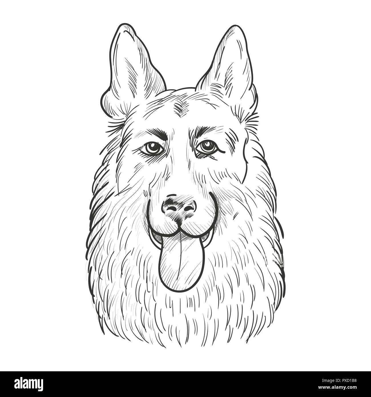 Deutscher Schäferhund Gesicht auf weißem Hintergrund. Hund Kopf hand gezeichnete Skizze. Stock Vektor