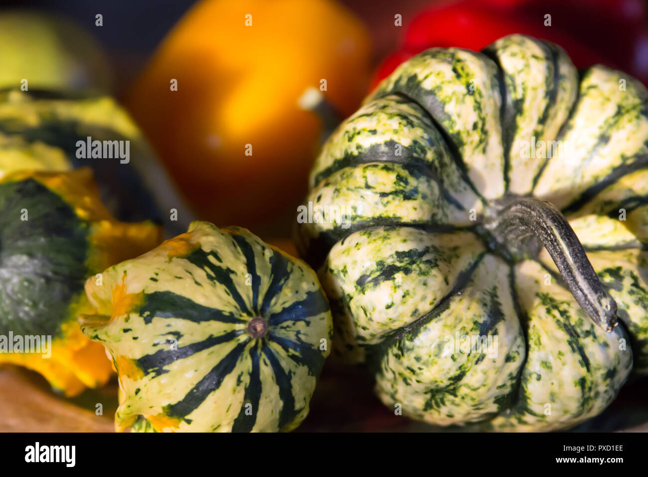 Nahaufnahme von Grün, Weiß und Gelb dekorative Kürbisse mit roten und gelben Paprika im Hintergrund Stockfoto