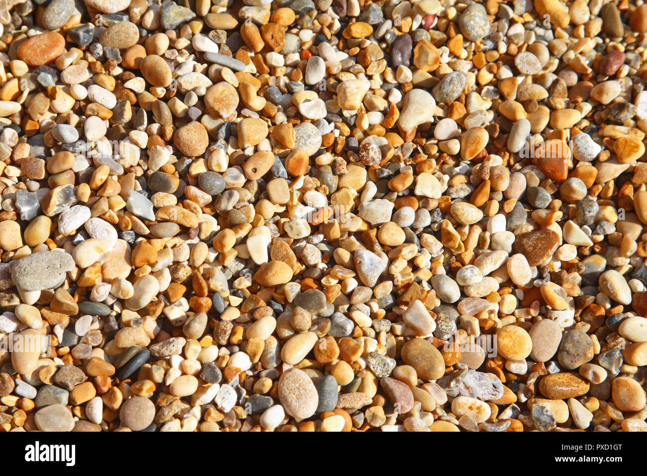 Nahaufnahme von Kiesel am Strand Stockfoto
