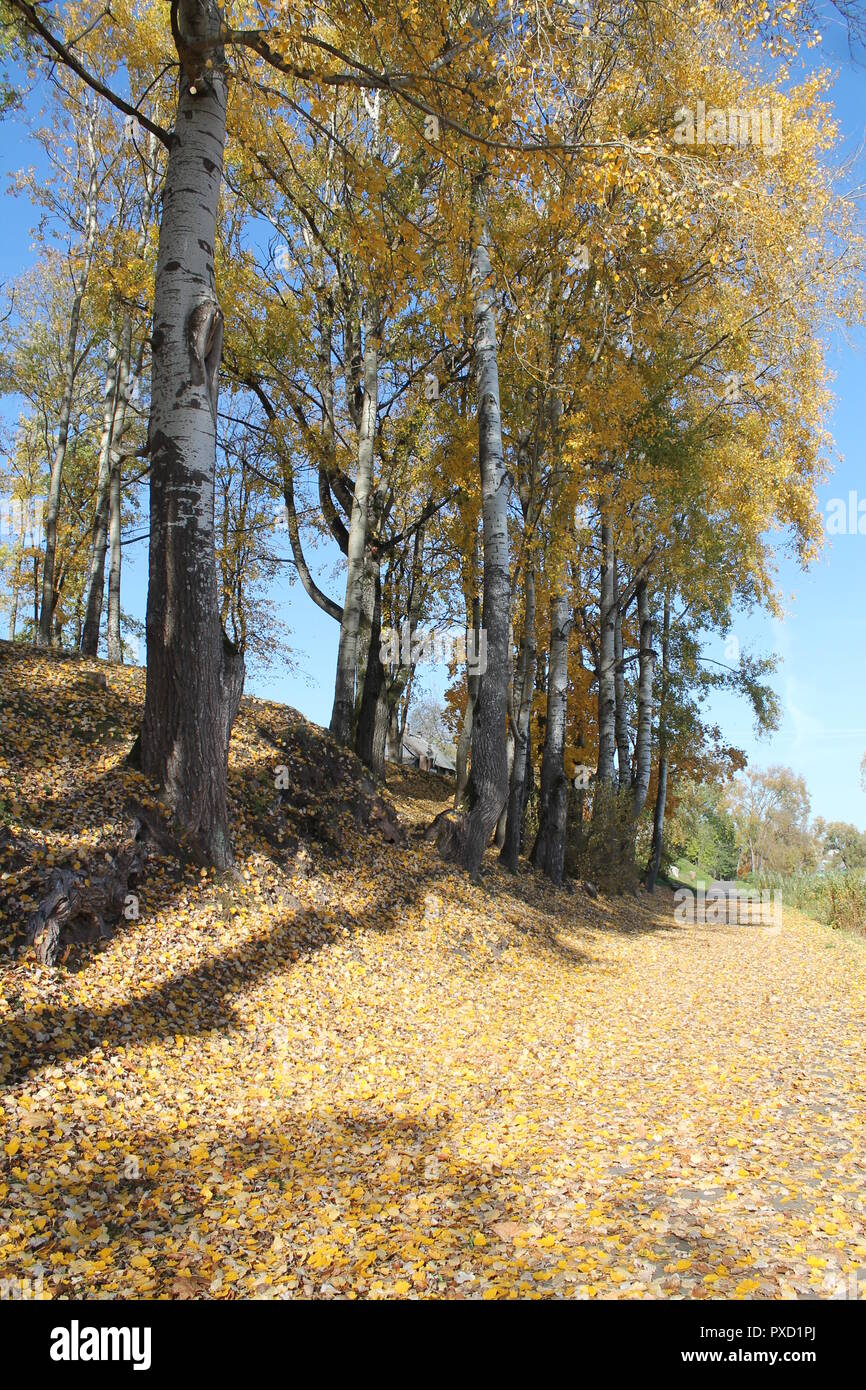 Schönen warmen sonnigen Herbsttag im City Park Stockfoto