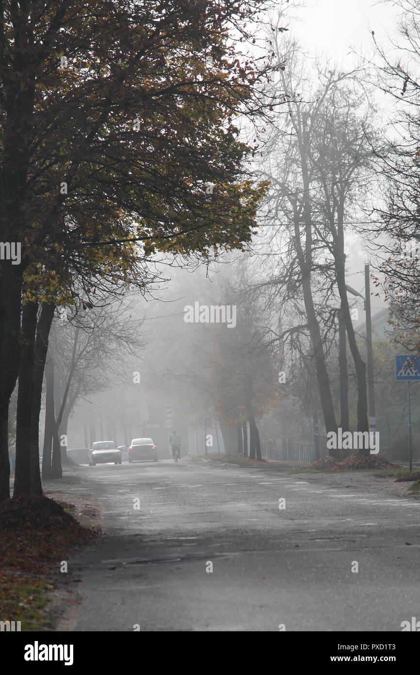 Anfang Herbst morgen auf leerer Straße mit milchigen Nebel und hellen Laub Stockfoto