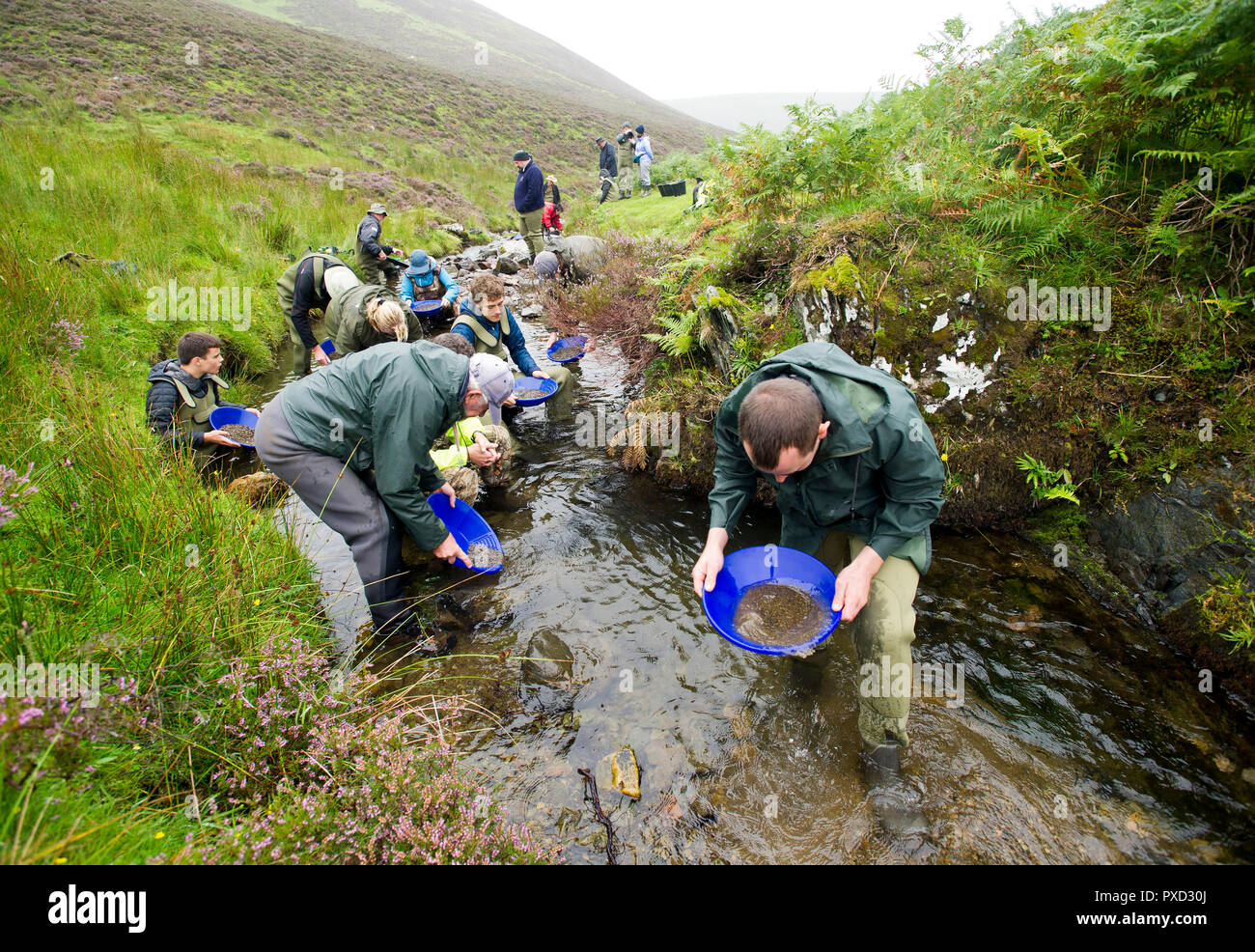 Goldwaschen Kurs für Besucher und Touristen auf dem Wasser in der Nähe von Mennock Wanlockhead, Schottland. Stockfoto