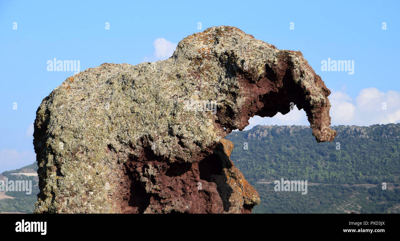 Marco Schuß der Elephant Rock ohne die Menschen, die Elefant Rock ist ein natürliches Phänomen aus Granit in Nord Sardinien Stockfoto