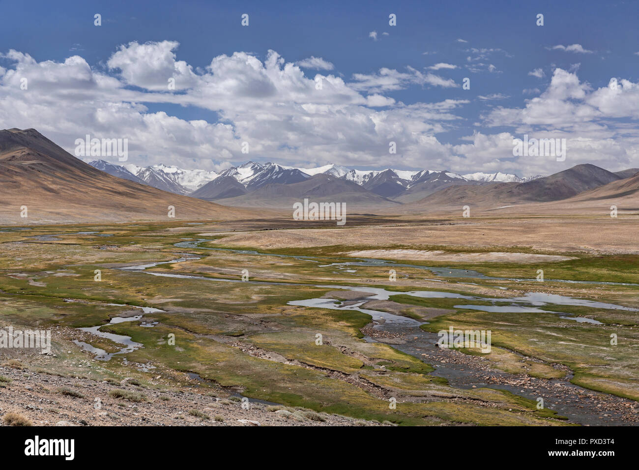 Aksu (murghab) River floodplain und afghanischen Große Pamir, Jarty Gumbez, Pamir, Gorno Badachschan Autonome Region, Tadschikistan Stockfoto