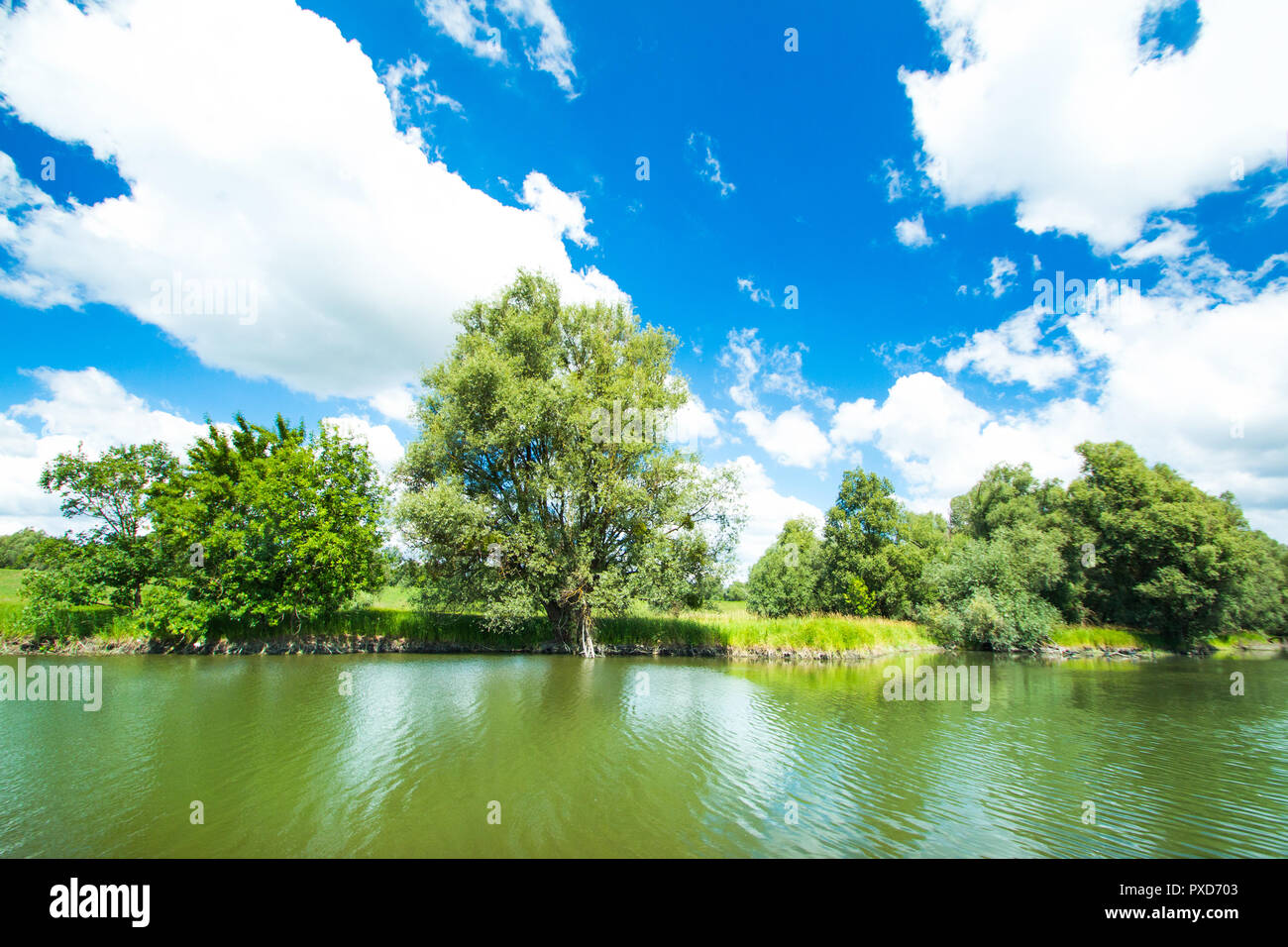 Kroatien, Slawonien und Baranja, Naturpark Kopacki Rit, beliebtes Touristenziel und Vogelschutzgebiet, schöne grüne Wasser Landschaft Stockfoto