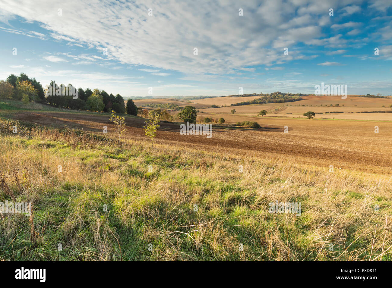 Ein Herbst Bild von Ackerland für den Anbau der neuen Saison in Rutland, England, UK vorbereitet. Englands kleinste Grafschaft. Stockfoto