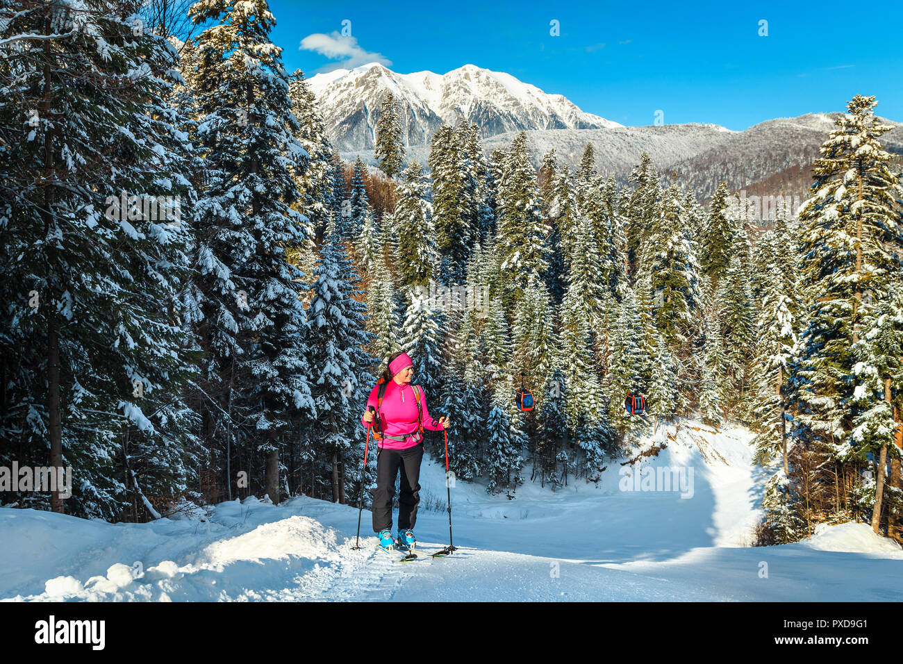Skitouren in den verschneiten Wald und Bucegi Bergen im Hintergrund. Aktive sportliche Frau an die Spitze des Berges, der azuga Skipiste, Siebenbürgen, R Stockfoto