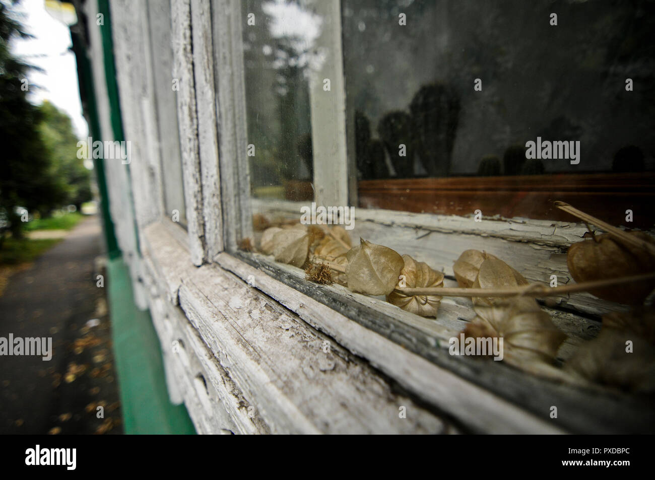 Traditionelle russische Datscha Haus. Wladimir, Russland Stockfoto