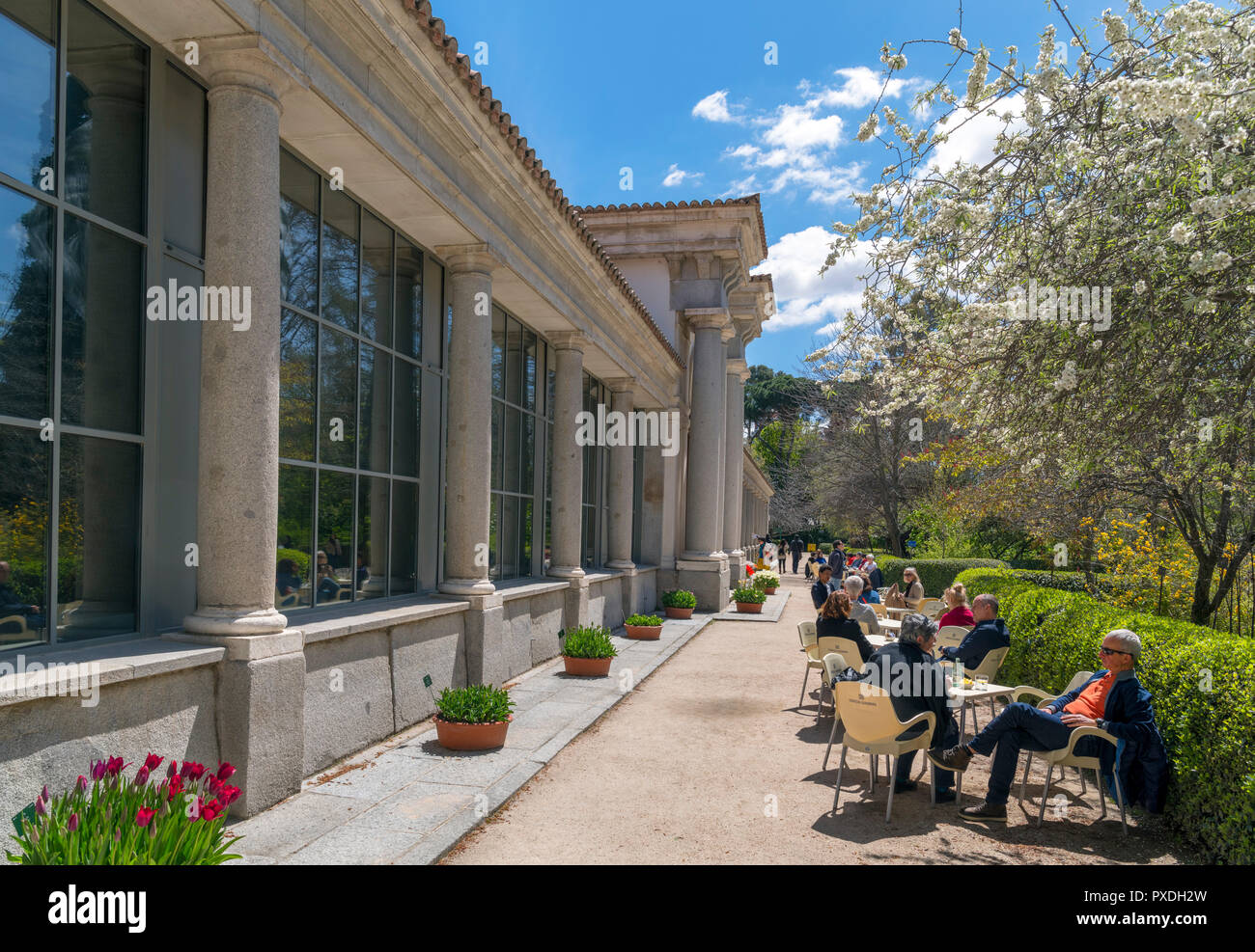 Madrid botanischen Garten. Cafe außerhalb der Villanueva Pavillon, Real Jardin Botanico, Madrid, Spanien Stockfoto