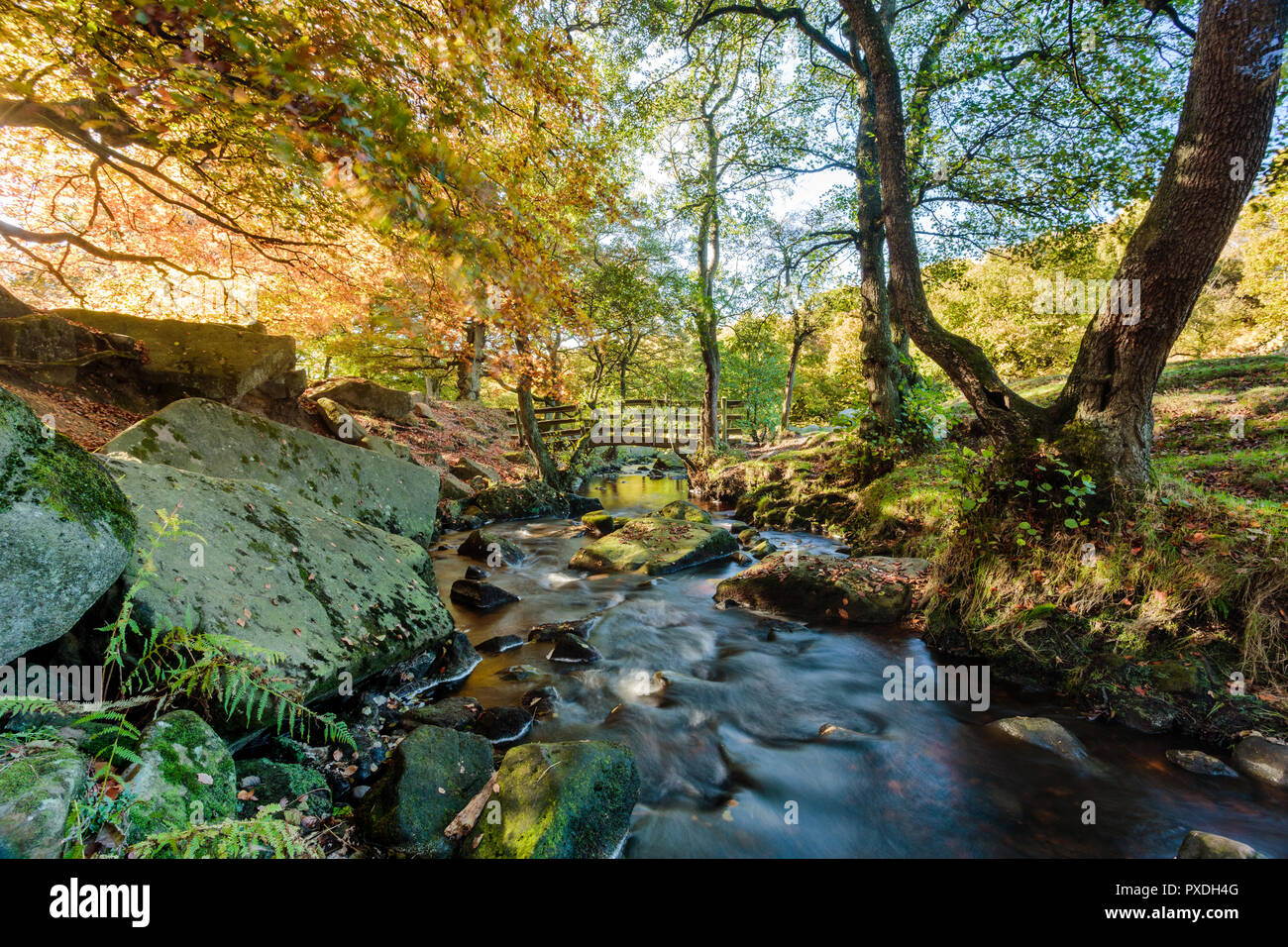 Schöne Herbstfarben an padley Schlucht Stockfoto