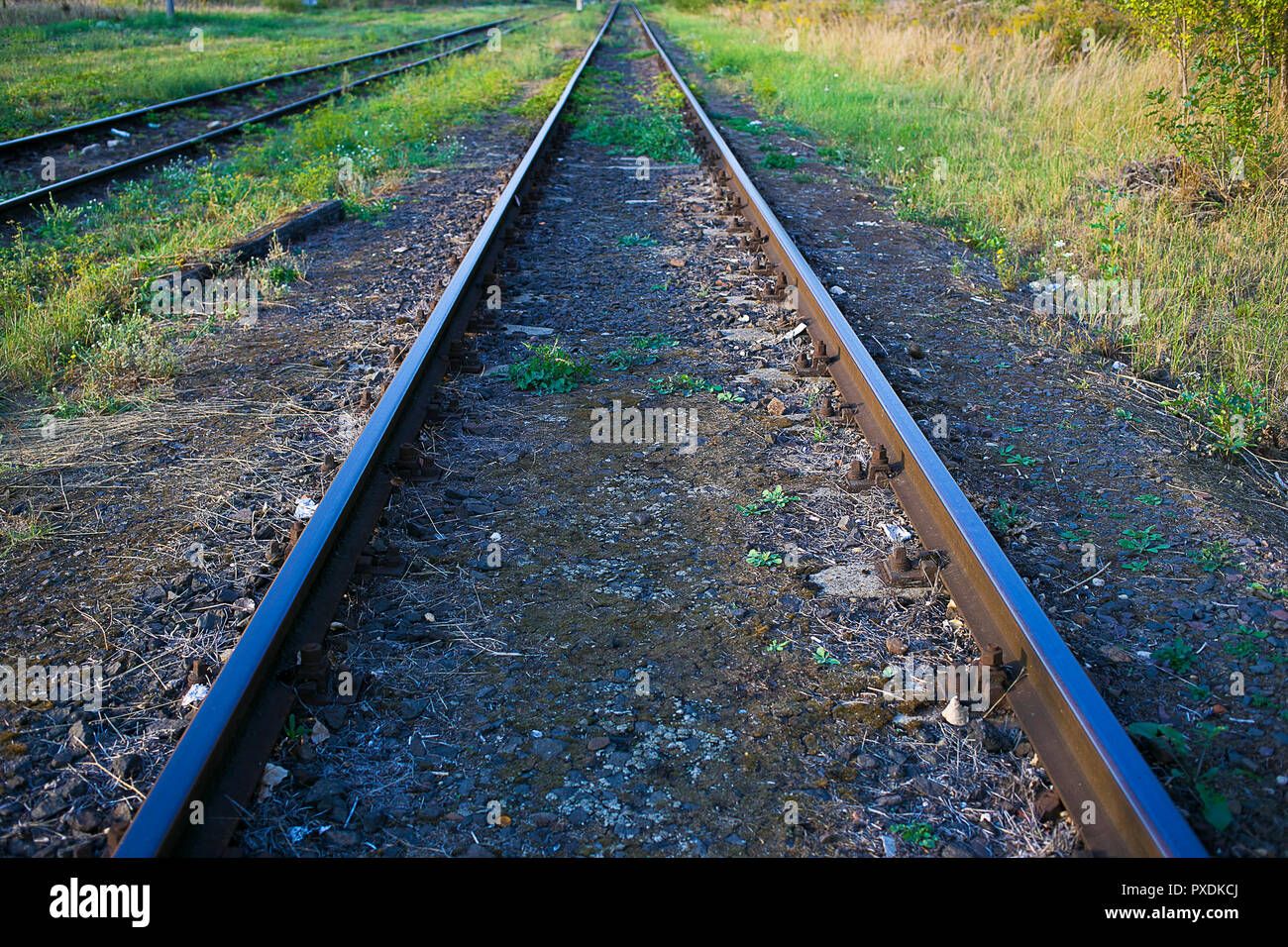 Schienen werden in der Perspektive als eine Zugtrasse an einem sonnigen Tag Stockfoto Schienen werden in der Perspektive als eine Zugtrasse an einem sonnigen Tag Stockfoto