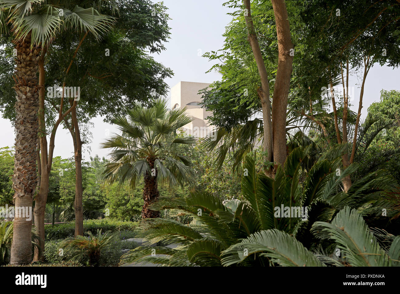 Doha/Katar - Oktober 10, 2018: Die markante Form des Museum für Islamische Kunst in Doha, Katar durch Laub in den angrenzenden Park gesehen. Stockfoto