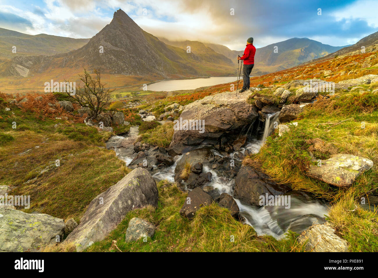 Ein Berg Walker in die schöne Landschaft der Ogwen Valley und Gipfel des Tryfan Berg in Nord Wales, Großbritannien Stockfoto