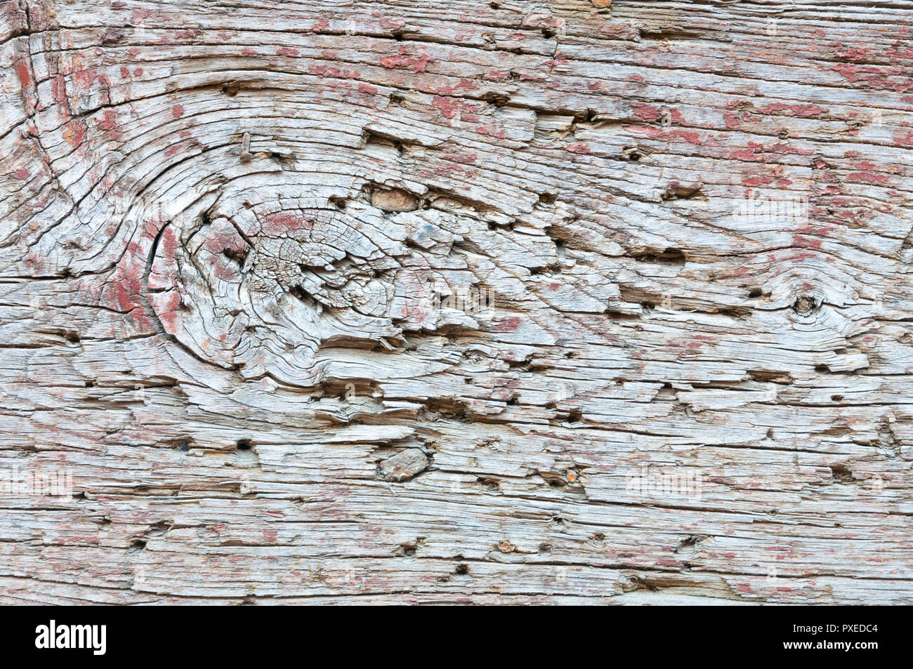 Holz Textur mit einigen roten Farbe Flecken und rostige Nägel Stockfoto