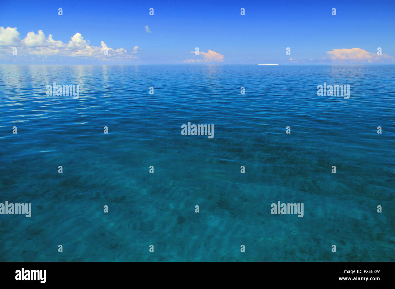 Osten, hier dargestellt, ist einer der am wenigsten zugängliche der sieben Inseln, Dry Tortugas National Park in den Florida Keys Stockfoto
