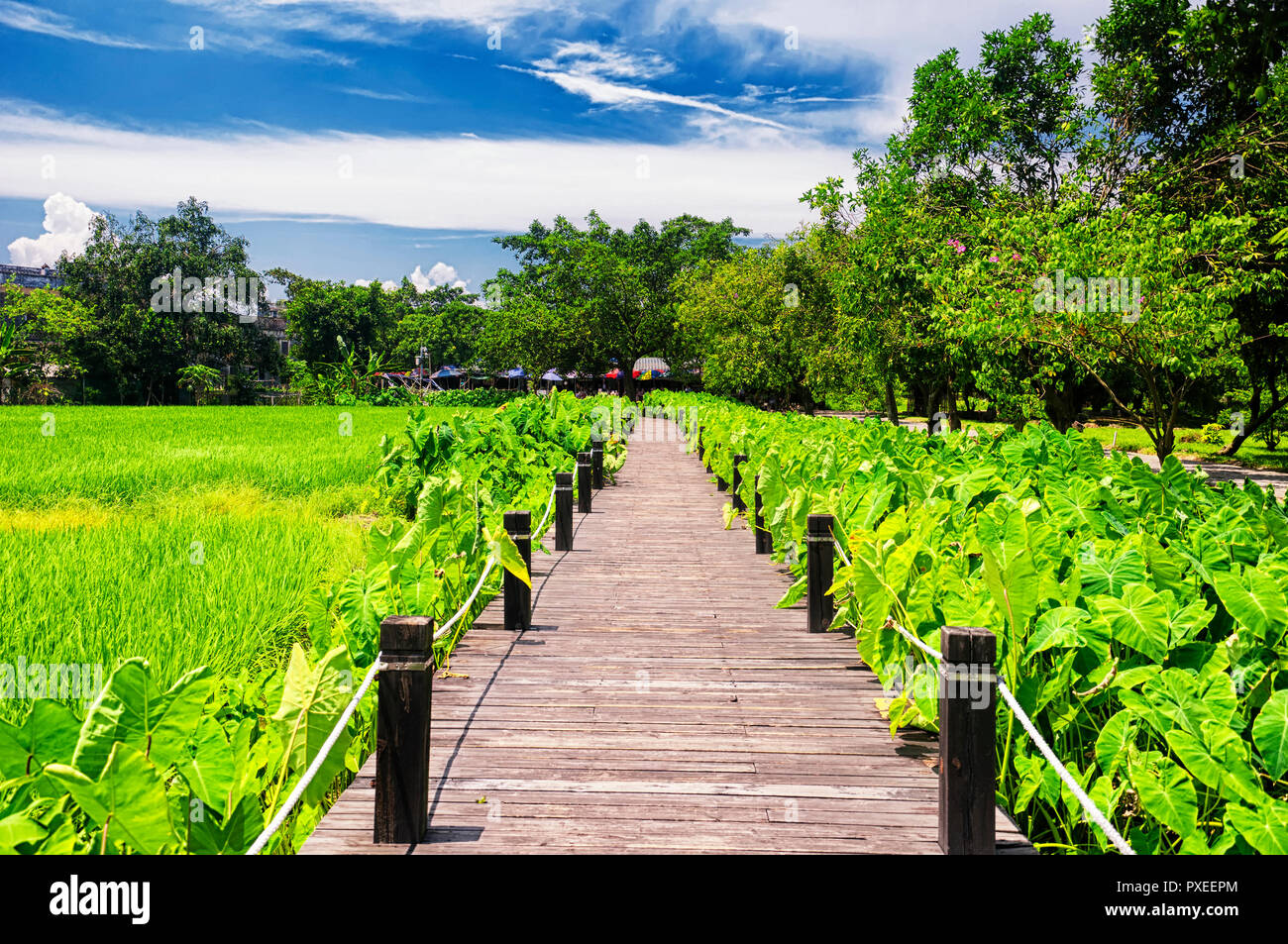 Die historischen Gebäude von Pingyao Diaolou in Zili Dorf in Pingyao Chinas in der Provinz Guangdong an einem sonnigen blauen Himmel. Stockfoto