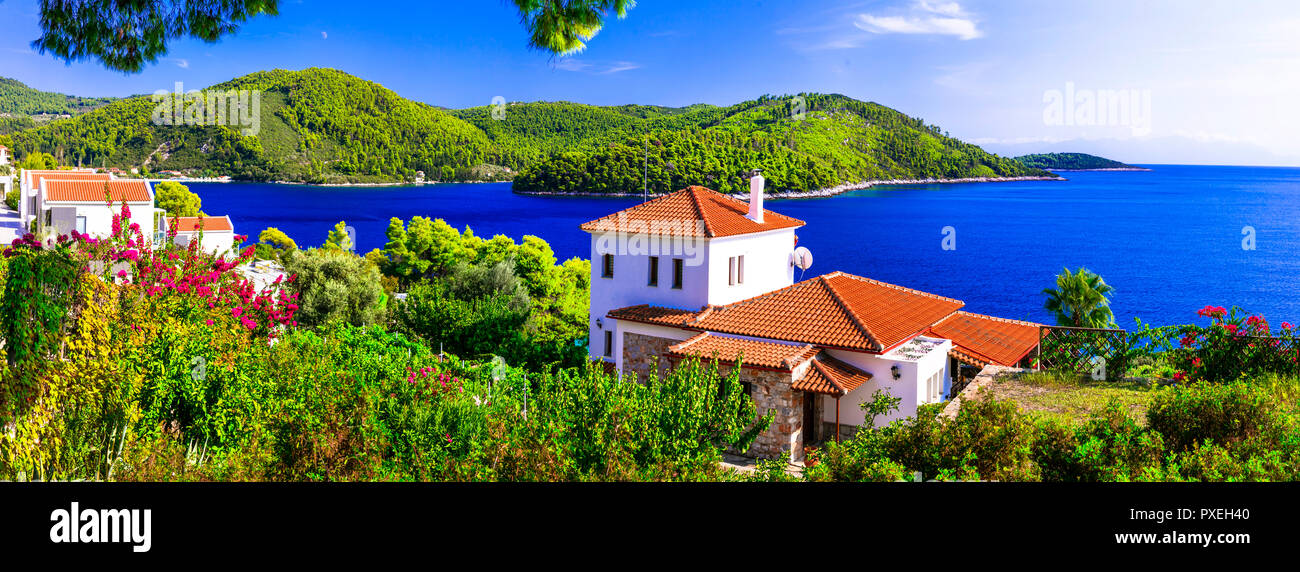 Wunderschöne Bucht Panormos, Panoramaaussicht, Sporaden, Insel Skopelos, Griechenland. Stockfoto
