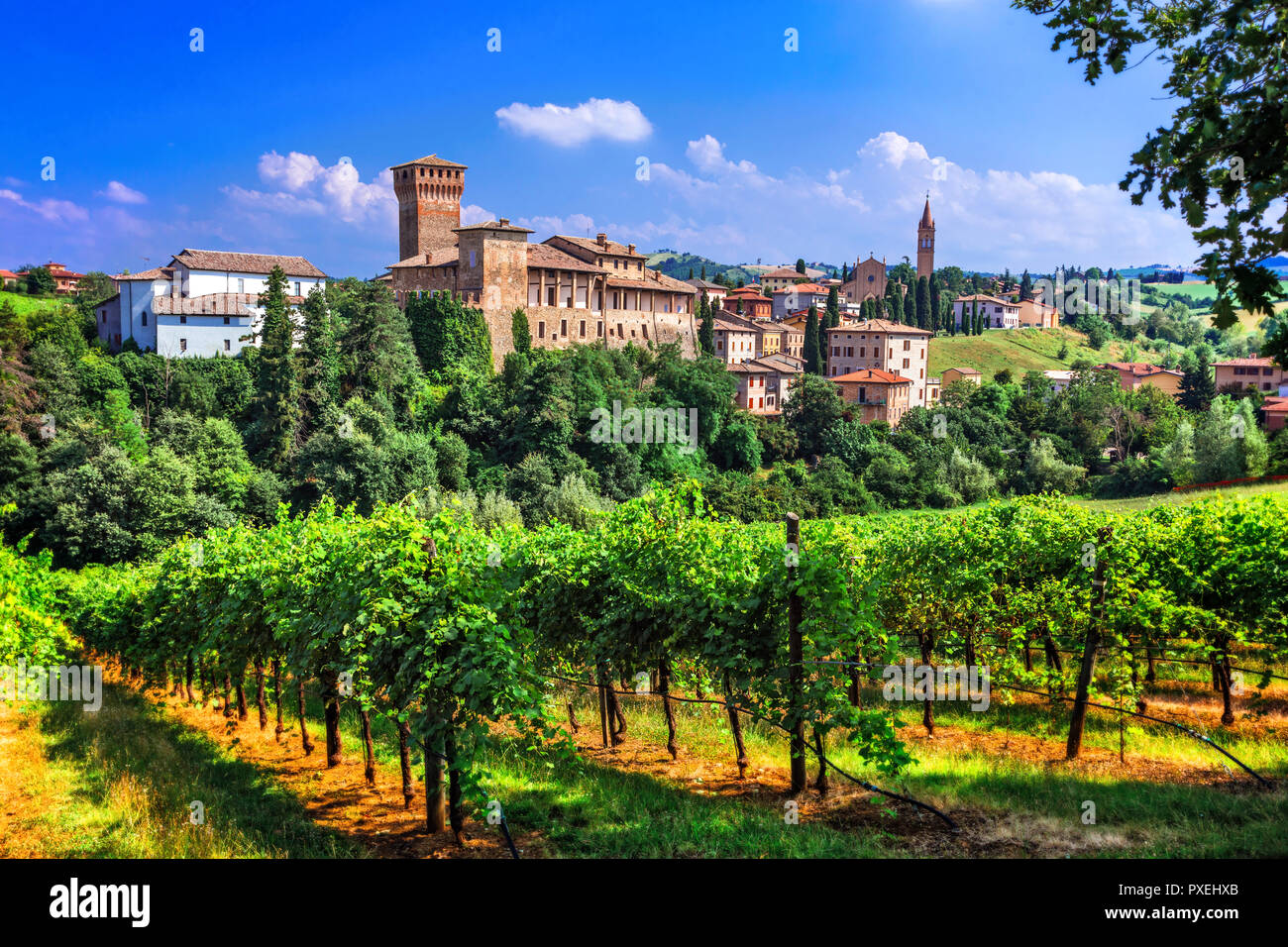 Schöne Levizzano Dorf, mit Blick auf Weinberge und alte Burg, Emilia Romagna, Italien. Stockfoto