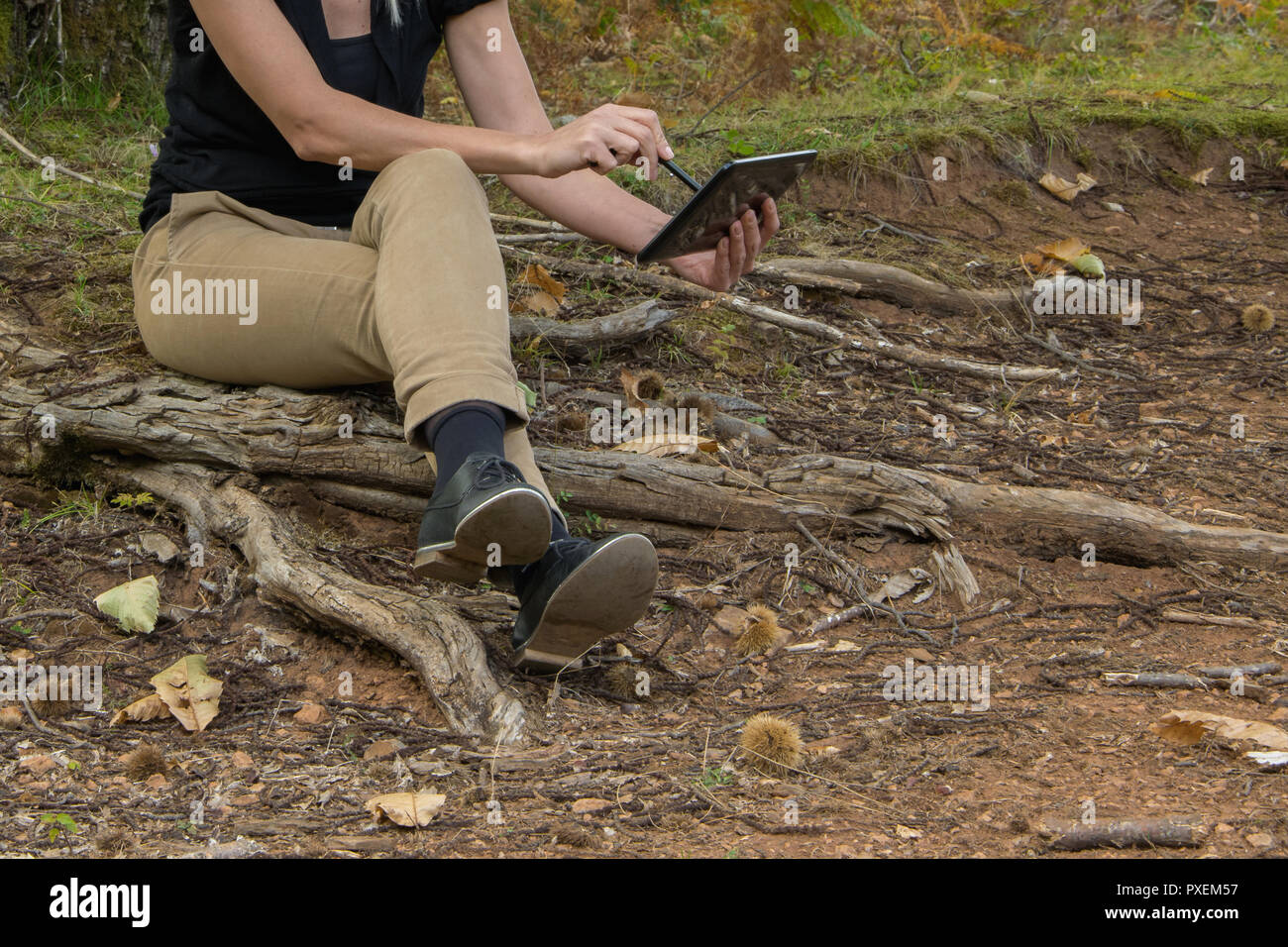 Blonde junge Frau sitzt auf dem Baum wurzeln in den Park/Wald mit digitalen Tablet. Technologie im freien Lebensstil/Travel Concept Stockfoto