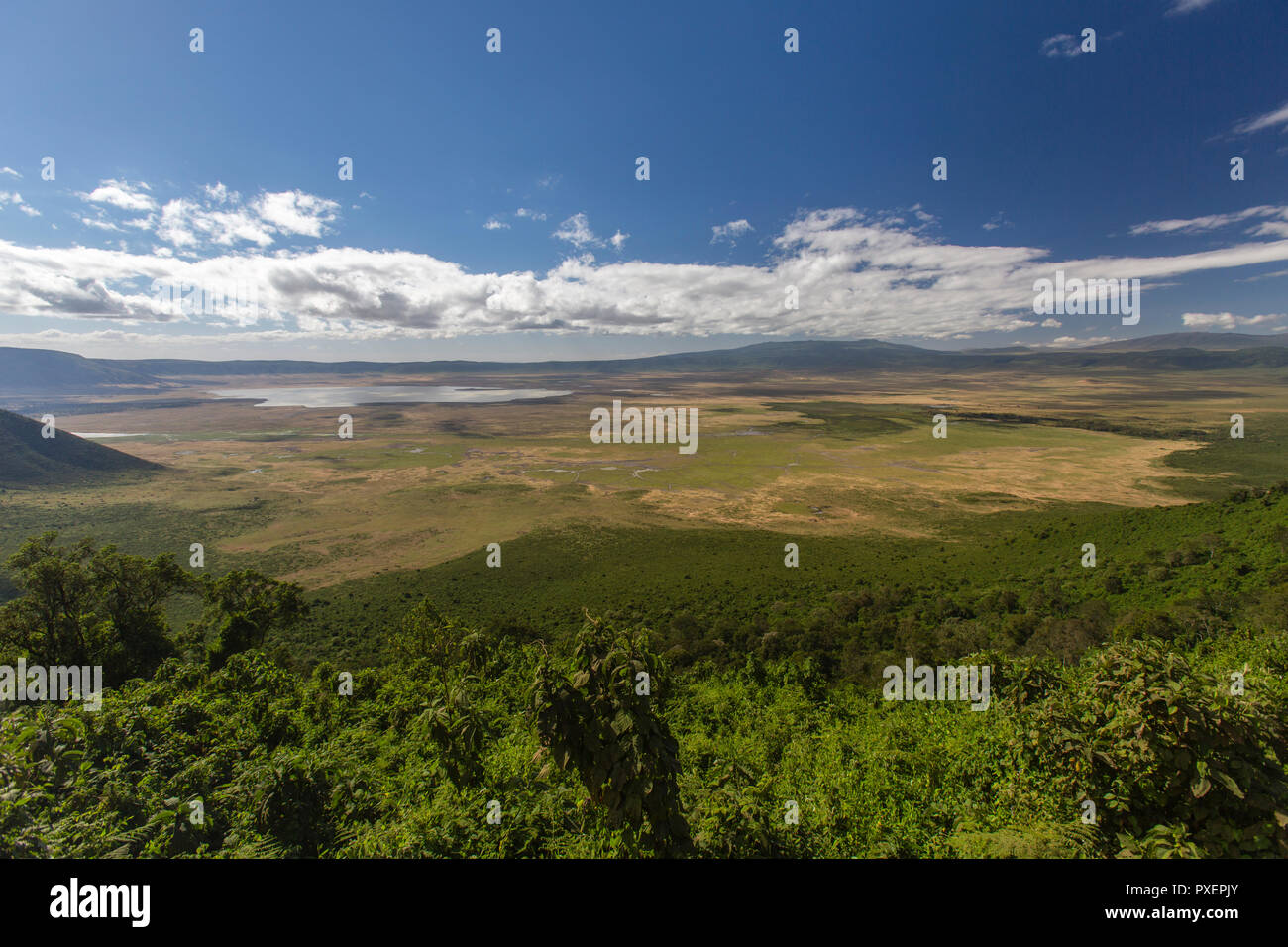 Ngorongoro Krater, Tansania Stockfoto