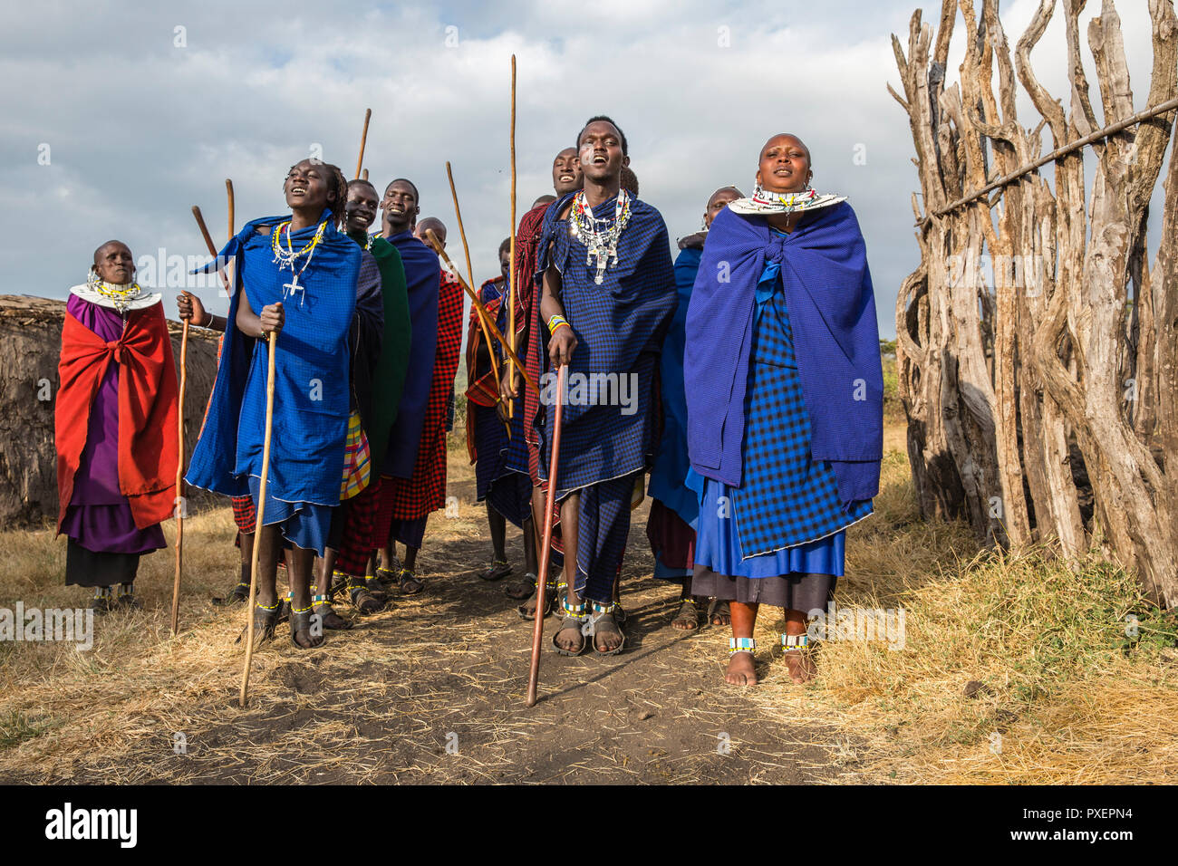 Maasai Zeremonie am Ngorongoro-Krater in Tansania Stockfoto