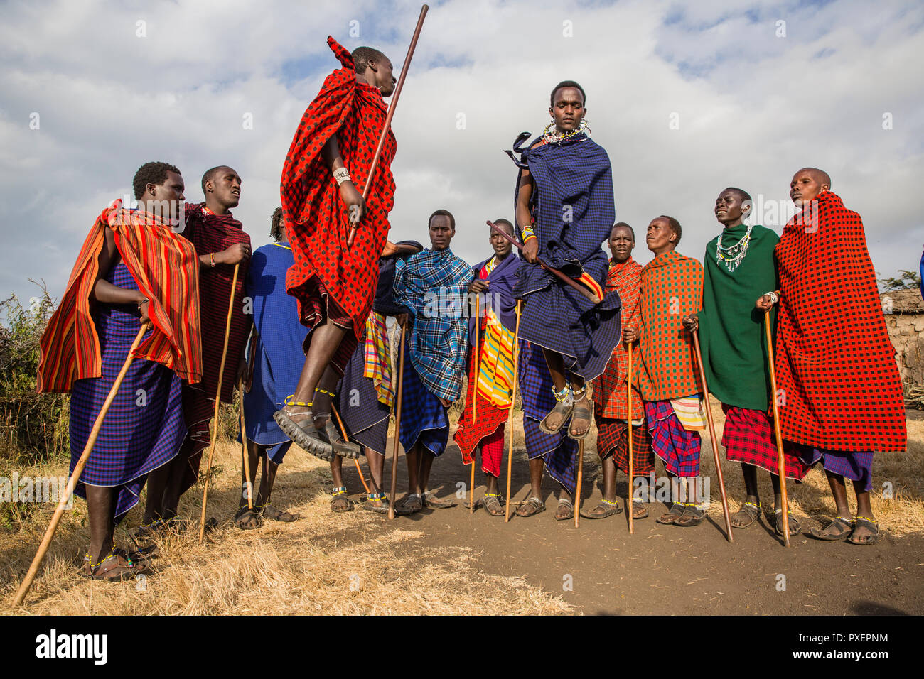 Maasai springen Zeremonie (adamu) am Ngorongoro-Krater in Tansania Stockfoto
