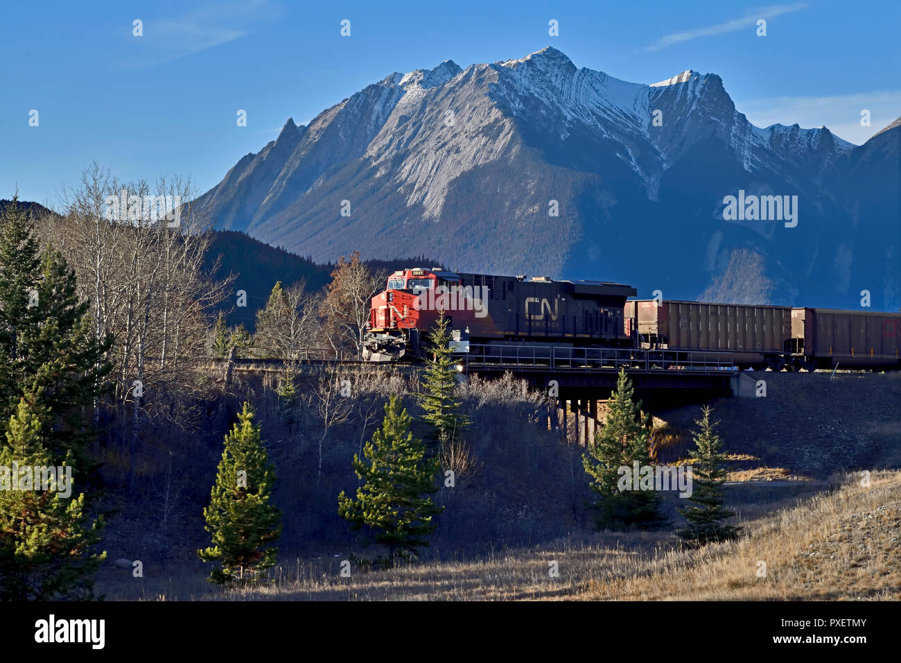 Eine kanadische National Freight Train Crossing eine Stahlbrücke in Jasper National Park, Alberta, Kanada. Stockfoto