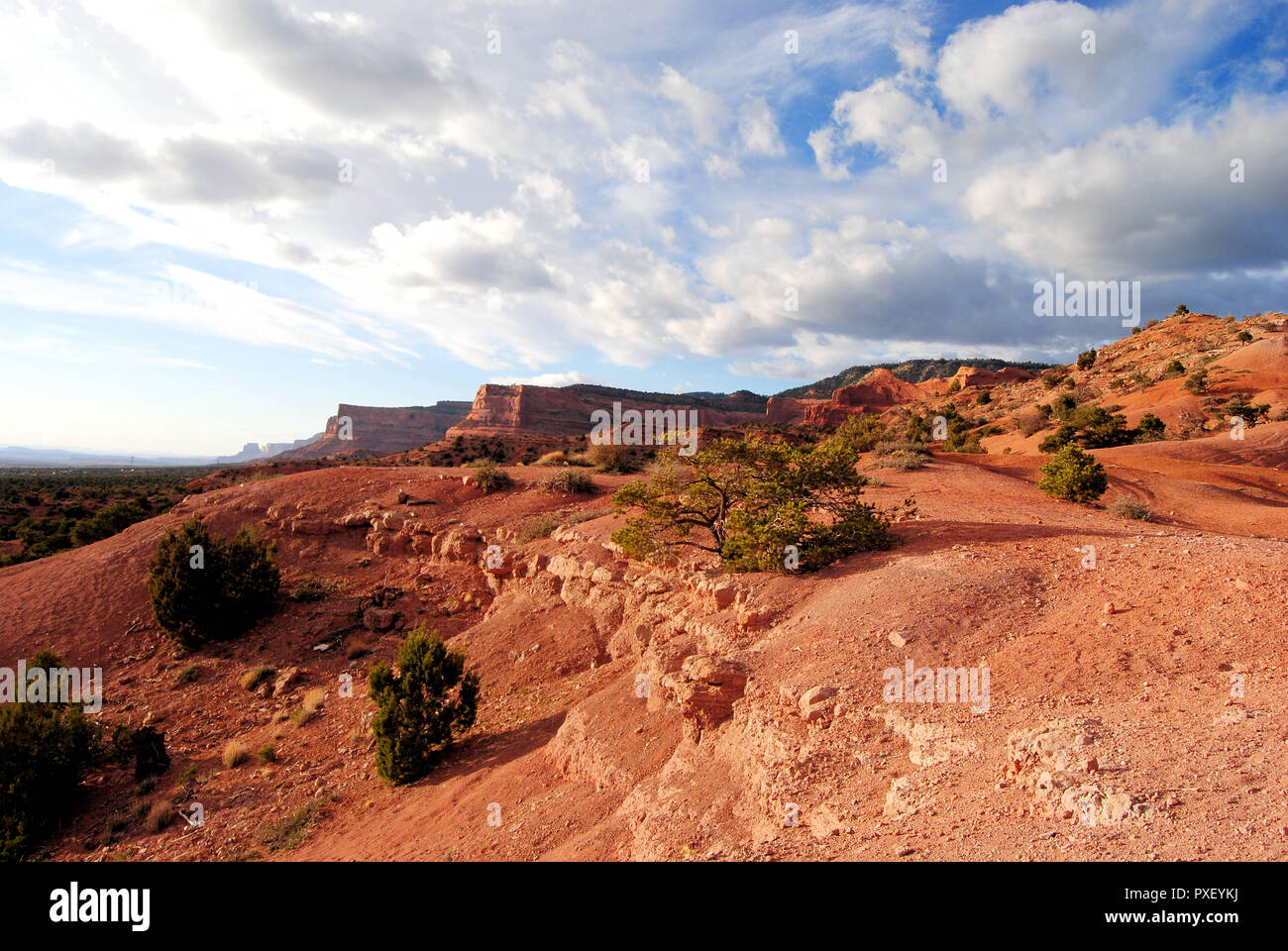 Wüste Anblick von Lukachukai Tal, einem Navajo land in Apache County, Arizona, USA, mit vielen Hügeln und Sträucher, Roter Sand und Steinen und einem bewölkten Himmel Stockfoto