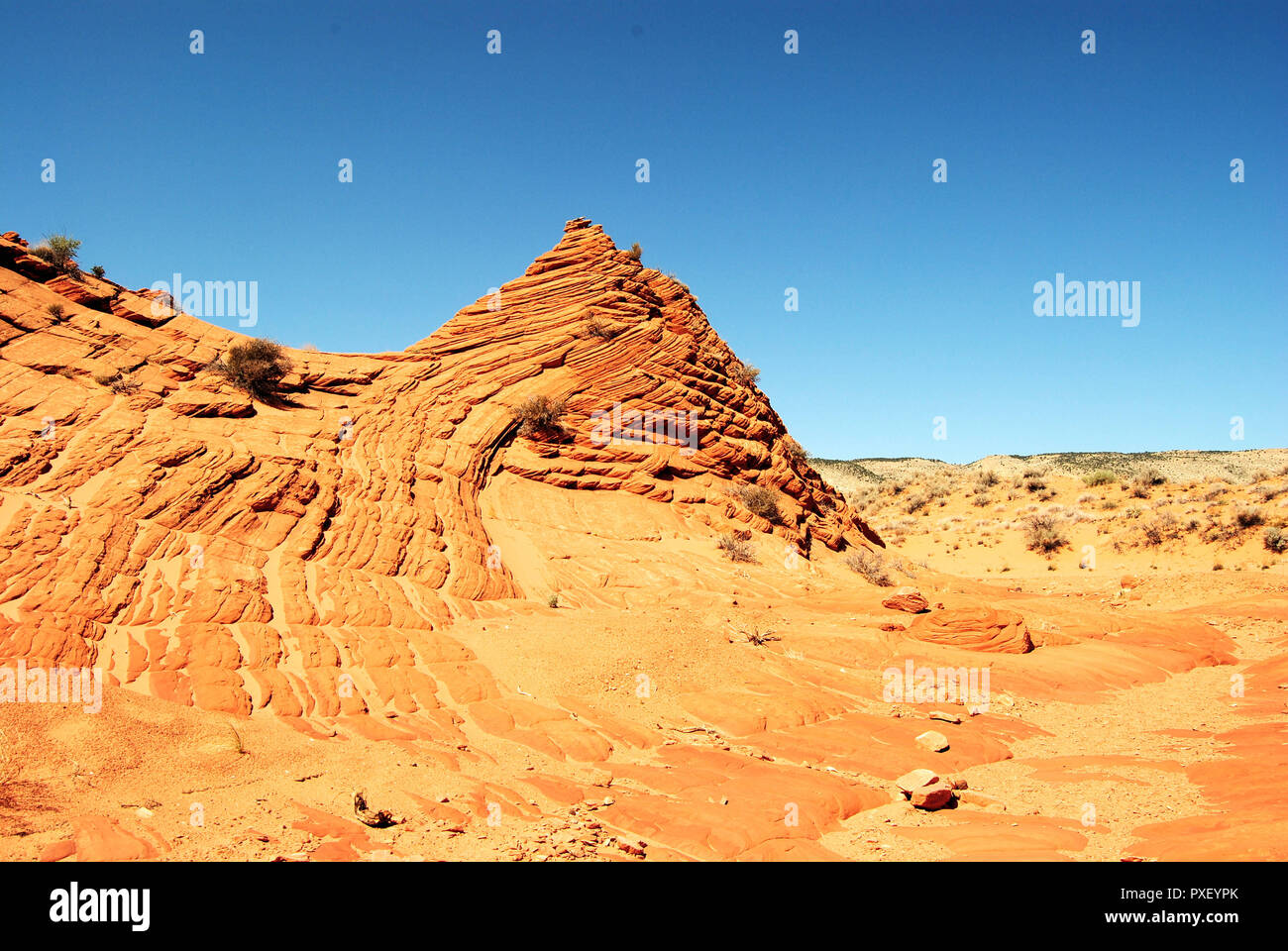 Eine gelbe alte Butte der sedimentären Felsen im trockenen Wüste, mit einem klaren blauen Himmel, in Coyte Buttes, Vermillion Cliffs National Monument, Arizona, USA. Stockfoto