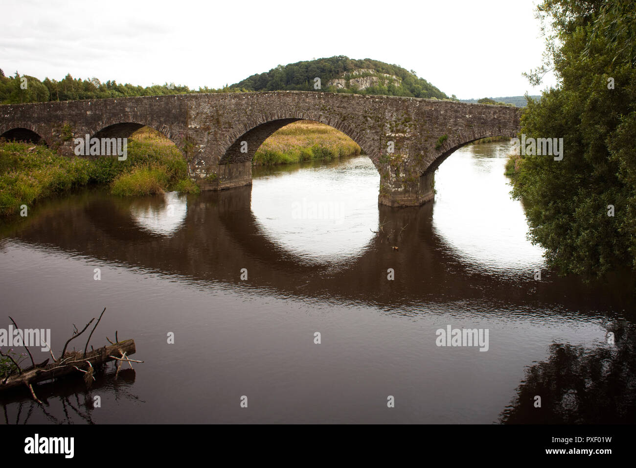 Die alte Steinbrücke über den Fluss Forth, in der Nähe von Stirling, Schottland, Großbritannien. Stockfoto