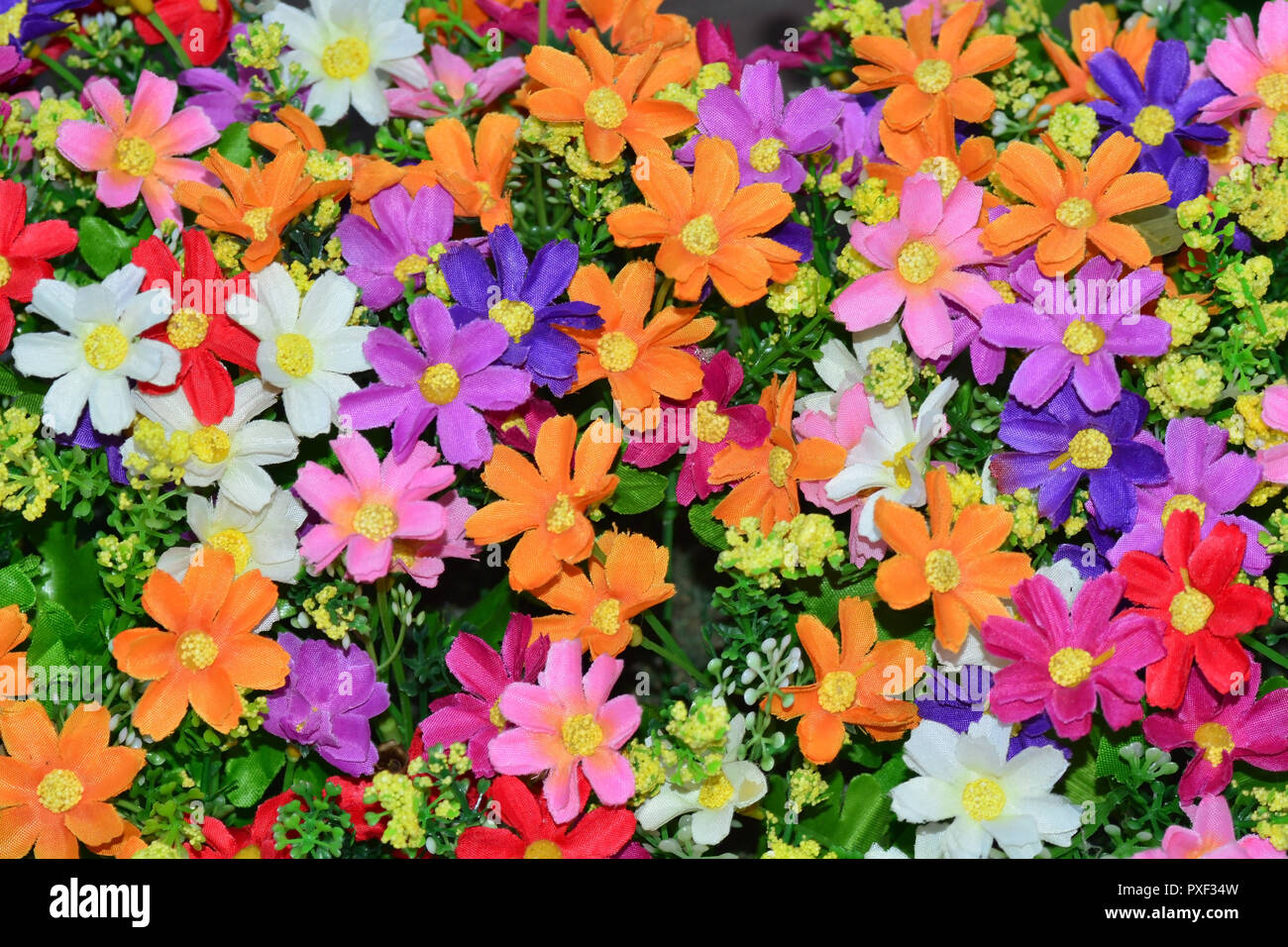 Schöne bunte Blumen Hintergrund. Stockfoto