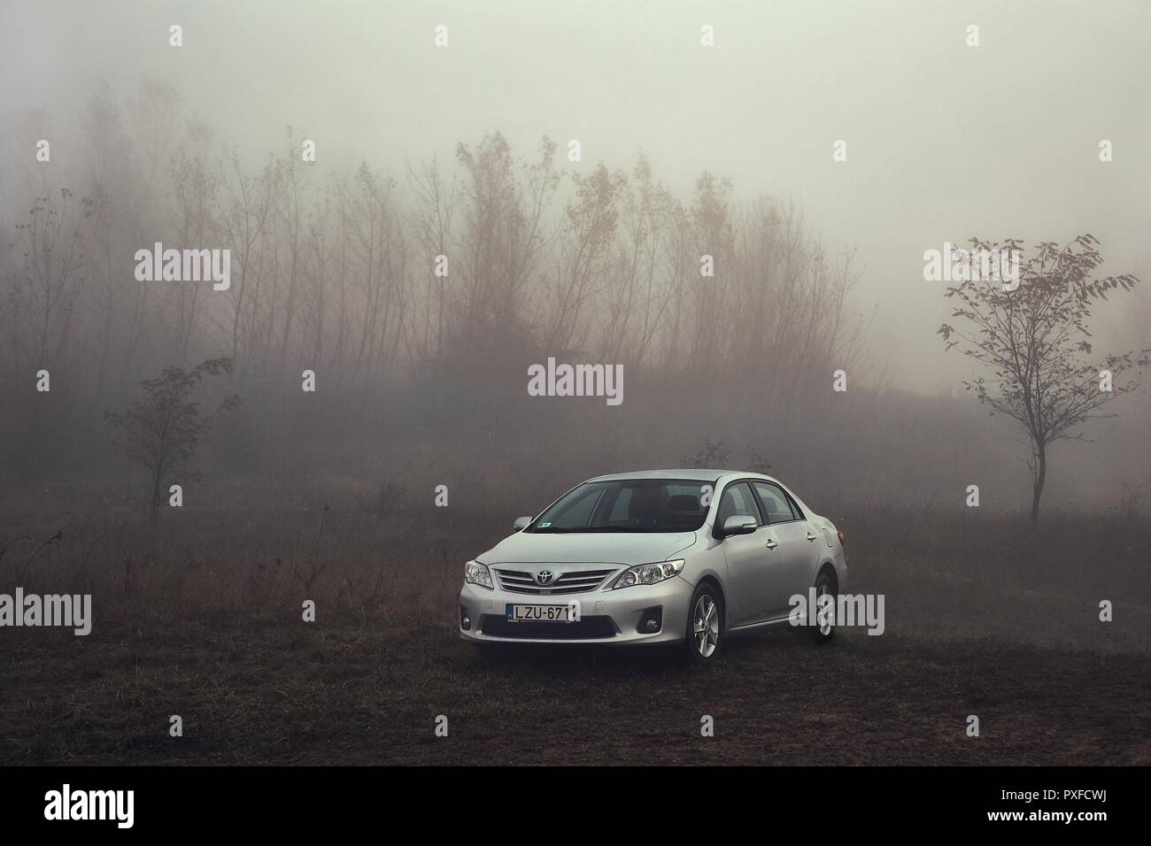 BAJNA, Ungarn - Oktober 28, 2016: Toyota Corolla Modell 2011 E15 Facelift in einer nebligen Landschaft. Korolla sind eines der meistverkauften Autos in der Welt Stockfoto