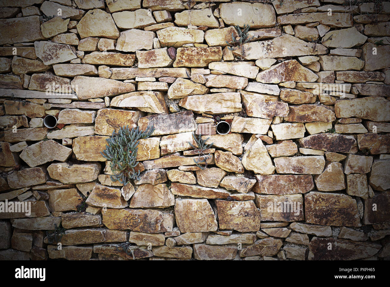 Steinmauer mit Vegetation, Textur für Ihr Design Stockfoto