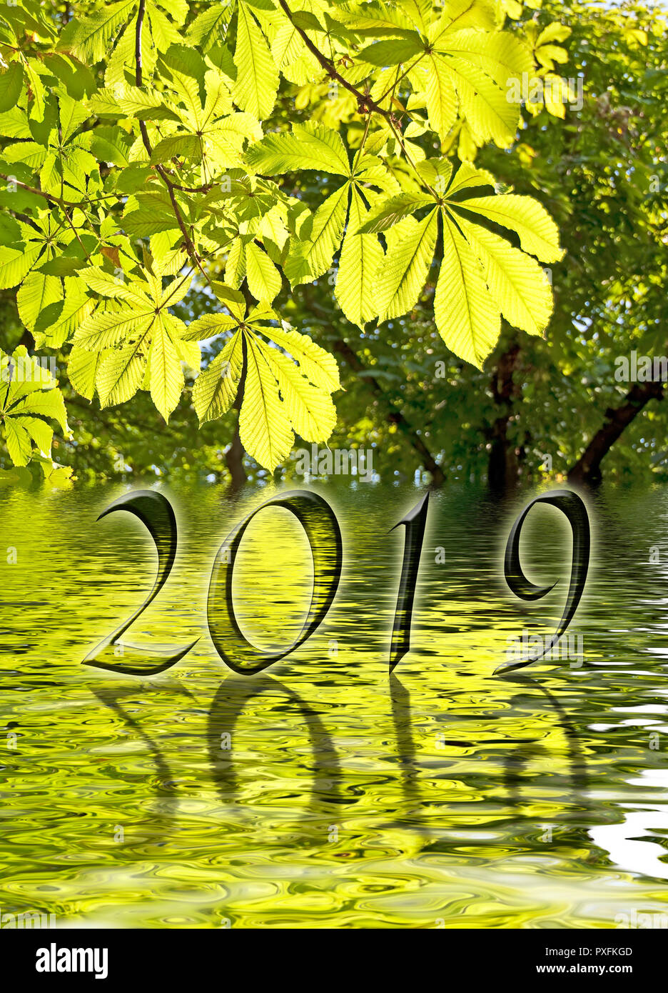 2019, grüne Blätter und Wasser Reflexionen Grußkarte Stockfoto