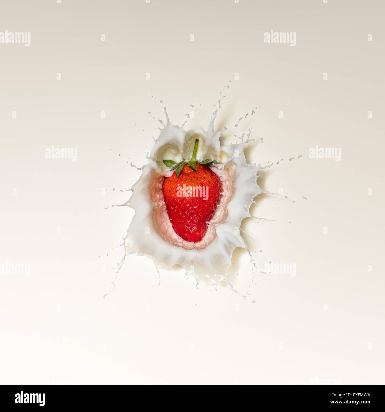 Frische rote Erdbeere Obst splash in weißer Milch und direkt von oben gesehen Stockfoto