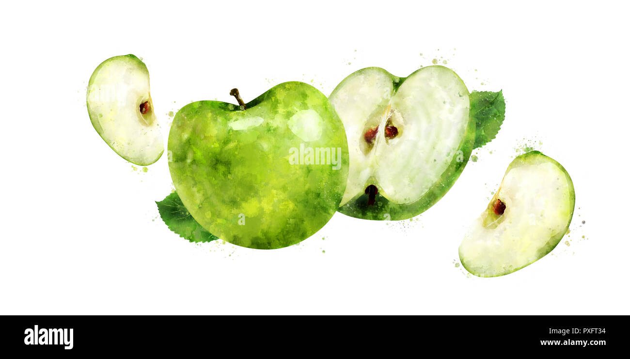 Green Apple auf weißem Hintergrund. Aquarell Abbildung Stockfoto