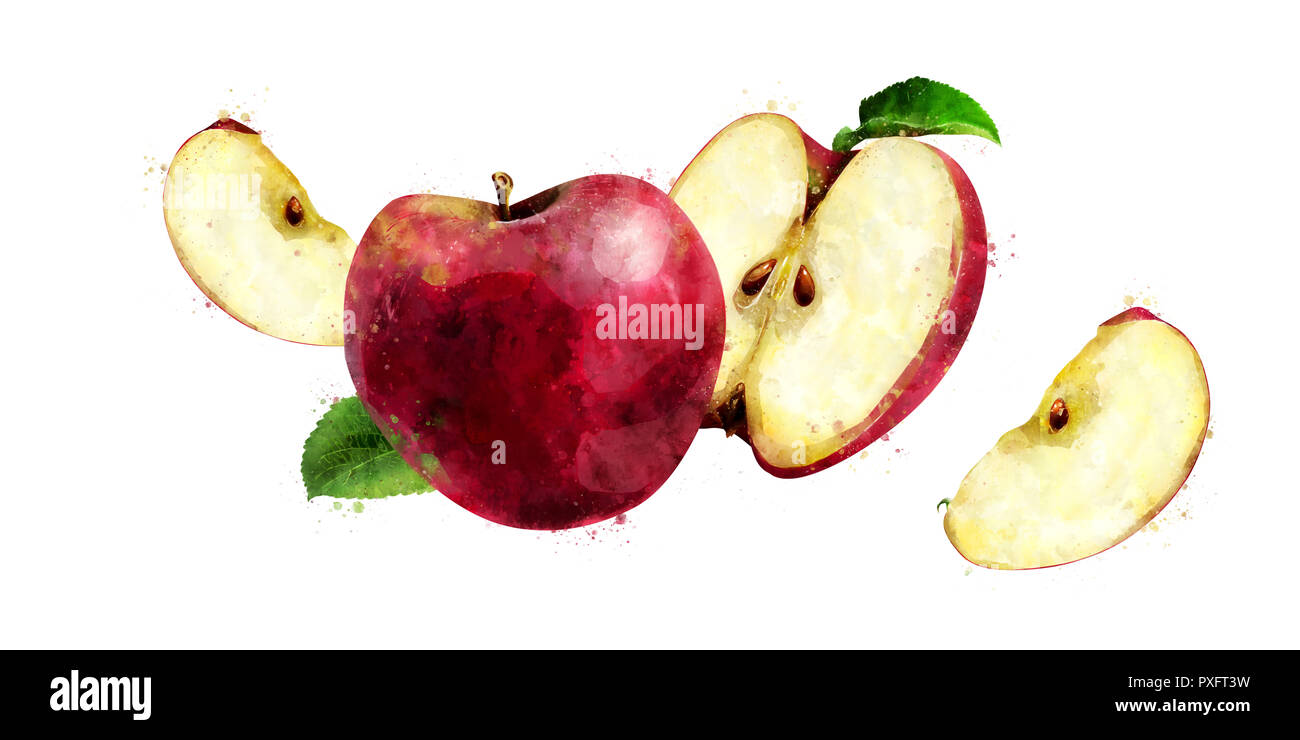 Red Apple auf weißem Hintergrund. Aquarell Abbildung Stockfoto
