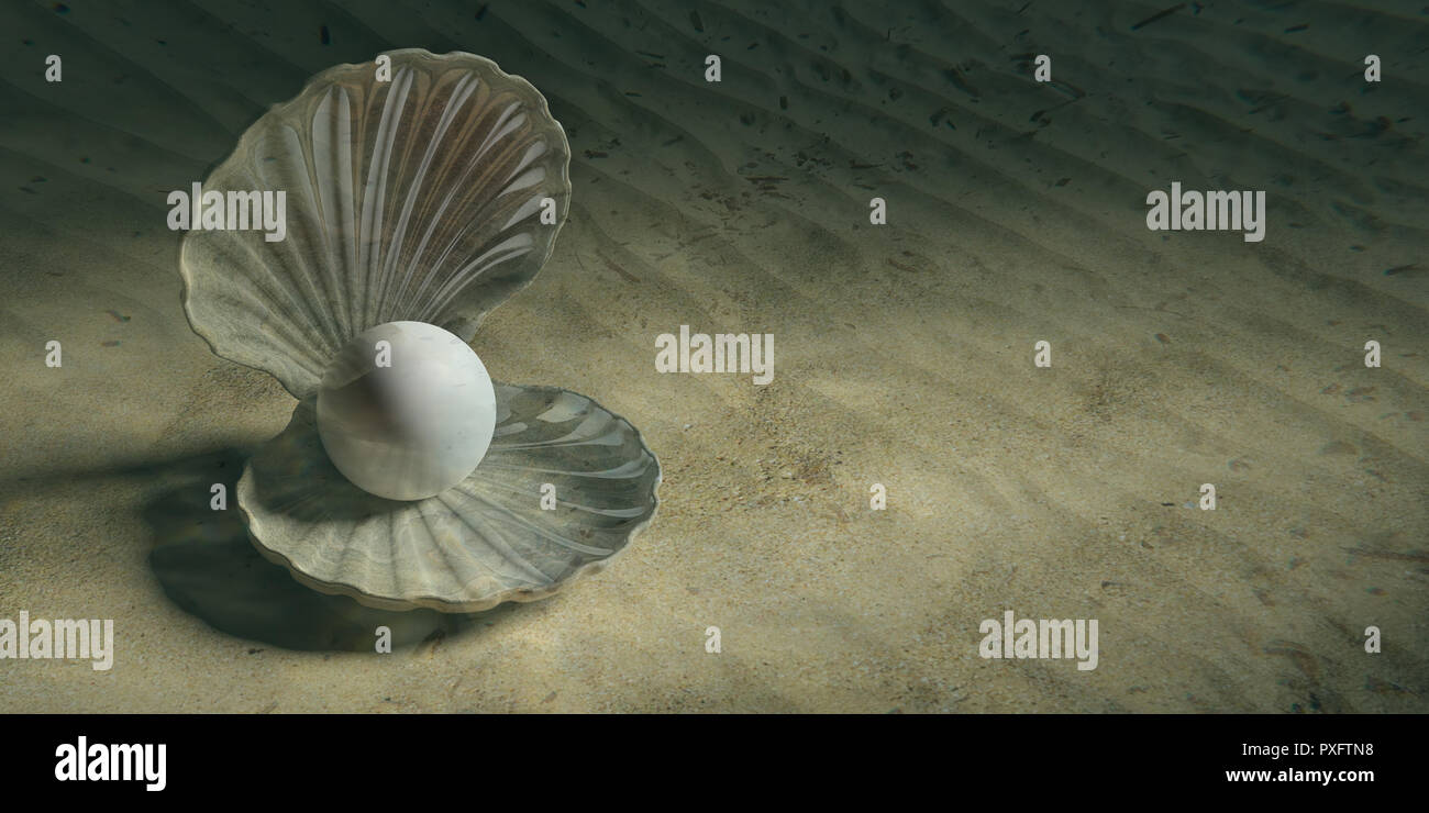 Perle in der Auster Shell im Wasser, auf dem Meeresgrund, Banner. 3D-Darstellung Stockfoto