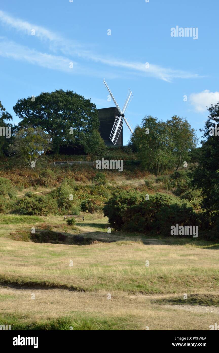 Reigate Heide Stockfoto