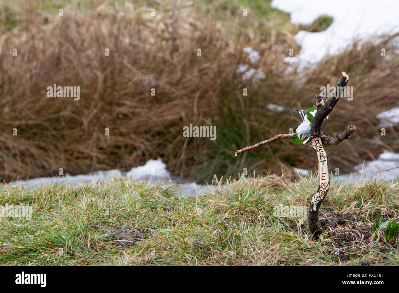 Hand Made Kreuz auf einem pet Grave Stockfoto