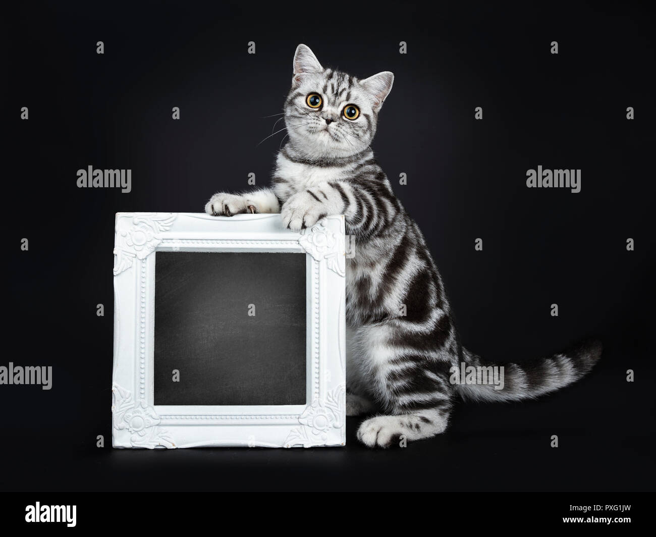 Rahmen In Silberoptik Stockfotos und -bilder Kaufen - Alamy