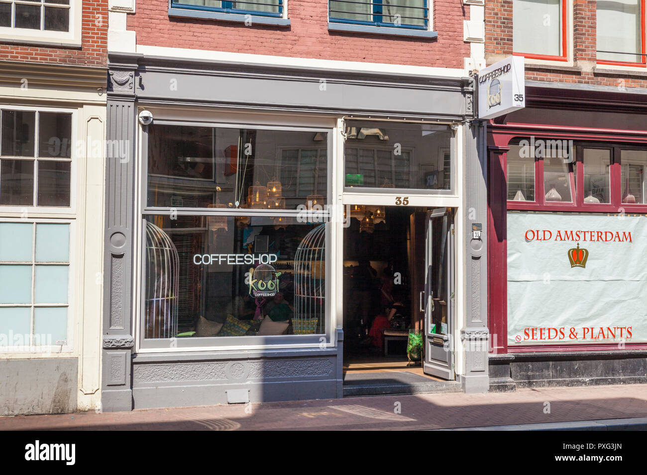 Amsterdam Amsterdam Coffeeshop verkaufen Hanf Samen und Pflanzen Amstelstraat Amsterdam Holland Die Niederlande EUROPA EU Stockfoto